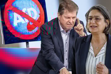 SPD-Politiker drängen auf Entscheidung zu Verbotsverfahren gegen AfD