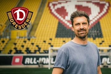 Dynamo macht's offiziell: Thomas Stamm ist neuer Cheftrainer!