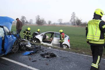 Tragisches Ende nach Frontalcrash: Zwei Verletzte, ein Hund stirbt