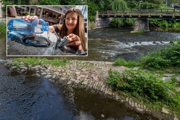Chemnitz: Chemnitzer Trinkwasser unbedenklich, aber ... Wasserentnahme aus Gewässern wird verboten
