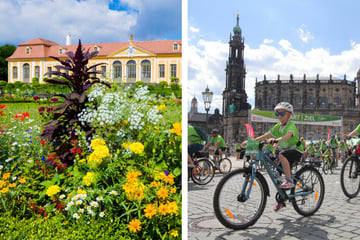Dresden: In Dresden und Umgebung könnt Ihr am Sonntag jede Menge erleben