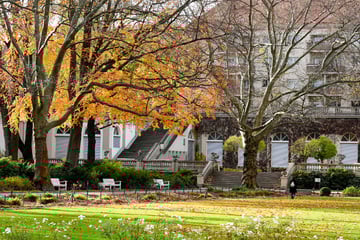 Mann nach Beleidigung auf TikTok in Park getötet: Mordprozess gestartet