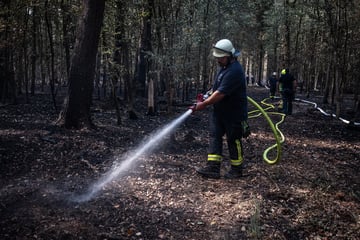 Brandstiftung? Staatsanwaltschaft nennt neue Details zum verheerenden Hürtgenwald-Brand