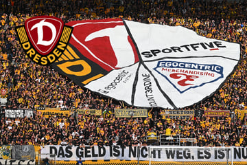 Ultras wollen Fanshop zu 100 Prozent zurück: Dynamo sieht zu großes Risiko!