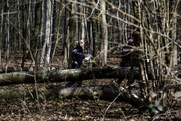 Drei Tote bei Ostereiersuche: Jetzt meldet sich die Heimleitung zu Wort
