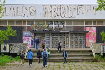 Dresden: Ostrale zieht Bilanz: Trotz Besucherplus draufgezahlt