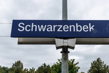 Bahnstrecke bei Hamburg wegen Polizeieinsatz gesperrt