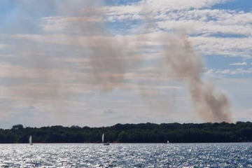 Leipzig: Großer Feldbrand nahe Leipzig: Mähdrescher brennt aus, riesiger Schaden