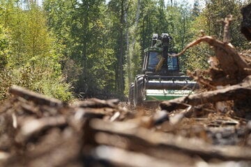 Waldbrand in Sachsen: Fünfter Tag des Großeinsatzes