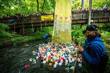 Beim 29. Erfurter Entenrennen winken den Siegern Mega-Preise