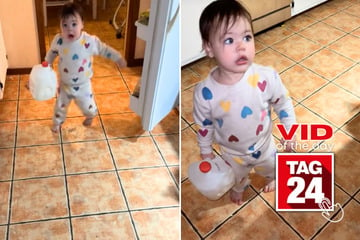 viral videos: Viral Video of the Day for November 21, 2024: Toddler hilariously struggles with heavy gallon of milk!