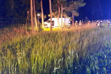 Unfall A9: Nächtlicher Einsatz: Mercedes Sprinter kommt von A9 ab und kracht gegen Baum