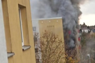 Berlin: Wohnungsbrand in Hellersdorf: Bewohner kann nur noch tot geborgen werden