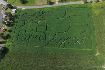 Verrückte Idee in Thüringen: Hier könnt Ihr durch ein Hanf-Labyrinth laufen