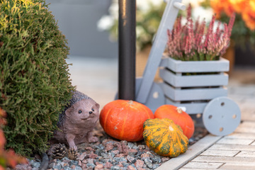 Herbstliche Deko-Ideen für Garten, Balkon - schön und sogar nützlich