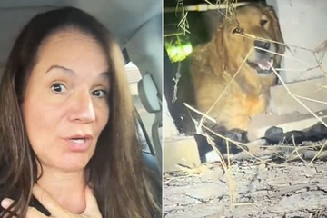 Abandoned pooch and newborn puppies spur on daring rescue operation from dog skeptic!