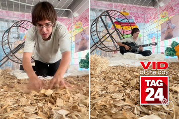 Viral Video of the Day for September 22, 2023: Man on TikTok lives in human-sized hamster cage!