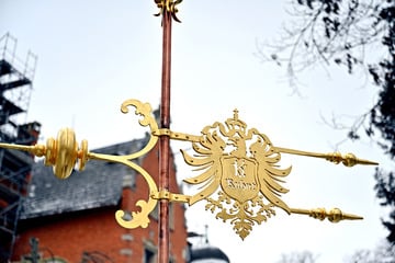 Dresden: Goldener Adler "landet" auf der Villa Kolbe