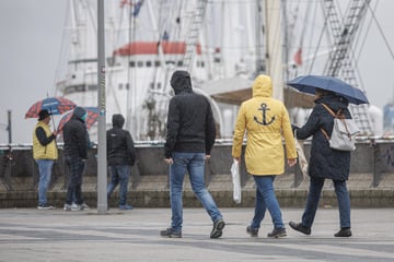 Herbst zeigt sich von seiner schlechten Seite: Orkanartige Böen im Anmarsch