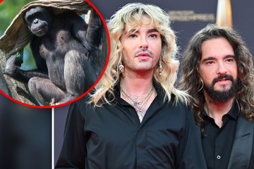 Kaulitz-Zwillinge schießen gegen Magdeburger Zoo: 