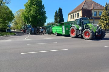 Tierisches Unglück: Mit Kühen beladener Anhänger kippt um