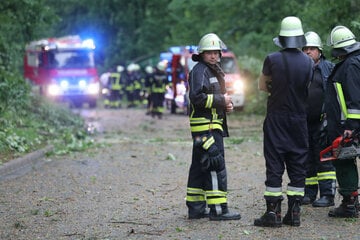 München: Entwurzelter Bäume, beschädigte Dächer: Feuerwehr fährt rund 400 Einsätze in sechs Stunden
