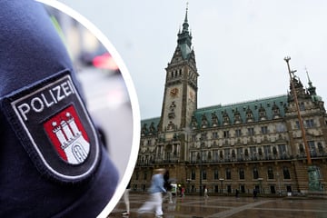 Hamburg: Sperrungen und Flugverbot: Internationaler Gipfel in Hamburg steht an