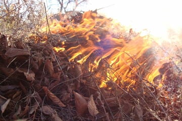 Darf man Laub und andere Gartenabfälle im eigenen Garten verbrennen?