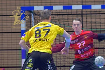 Dank Kraken-Duo im Tor: HCE schlägt Coburg