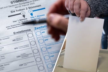 Bundestagswahl: In diesen Chemnitzer Stadtteilen holte die AfD die meisten Stimmen