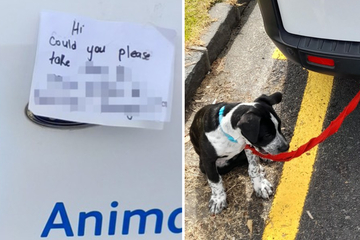 Puppy gets "dumped" and tied to van with heartbreaking note