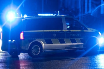 Verkehrskontrolle eskaliert: Polizei schießt auf Auto