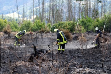 Brandbekämpfung auf Saalfelder Höhe: Von Zehntausenden Einsatzstunden bis 25 Kilometer Schlauchlänge