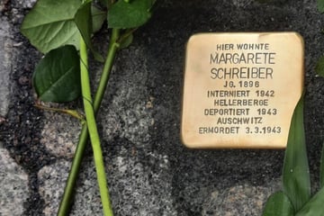 Dresden: Staatsschutz ermittelt: Stolperstein von ermordeter Dresdnerin aus dem Boden gerissen!