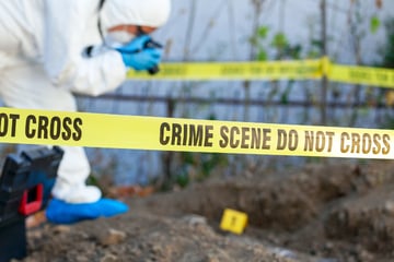 Violent crime in US drops again as election nears – contradicting Trump's claims