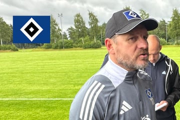 HSV-Coach Steffen Baumgart über Aufstieg, Torwartduell und Neuzugänge