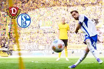 Bittere Heimniederlage gegen Schalke 04! Dynamo verpasst Zählbares nur knapp