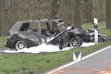 Auto prallt gegen Baum und fängt Feuer! Eltern retten Kinder vor den Flammen
