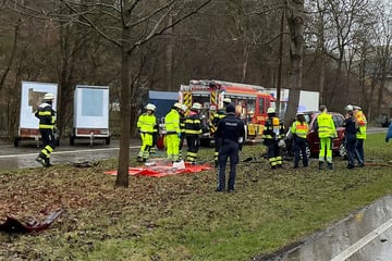 VW kracht frontal gegen Baum: Fahrer stirbt sofort