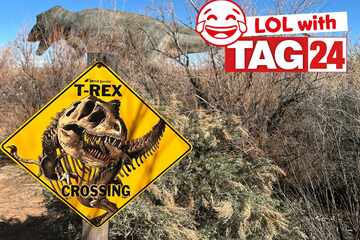 Joke of the Day for January 16, 2026: A Friday funny!