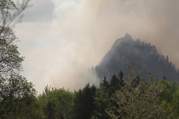 Waldbrand am Saurüsselkopf unter Kontrolle: Nachlöscharbeiten beendet