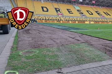 Dynamo-Dresden-Blog: SGD bekommt nach Monarchs-Meisterschaft neuen Rasen