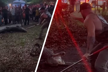 Florida MMA fighter wrestles alligator and plans a very special BBQ!