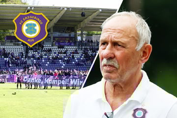 Ist das Erzgebirgsstadion zu teuer? "Szenario 3. Liga wurde unterschätzt"