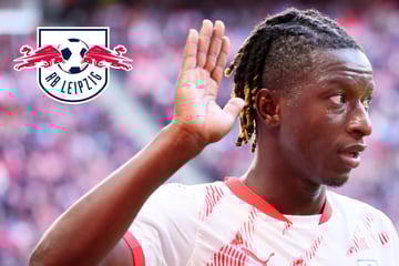 RB-Leipzig-Blog: Haidara kehrt nach Afrika-Cup nicht zu den Bullen zurück