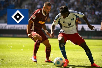 HSV-Blog: Heuer Fernandes fällt für Topspiel aus, Hefti fraglich