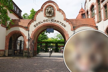 Großer Schreck im Zoo Leipzig: Ist ihnen ein Tier abhandengekommen?