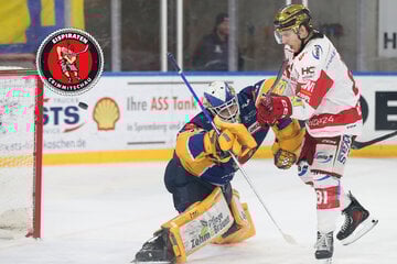 Gleichen Eispiraten aus? Füchse wollen Sack zumachen!