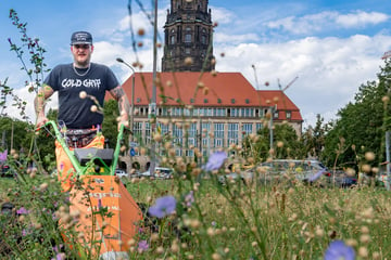 Mehr Platz, mehr Arbeit: So wird Dresden grüner