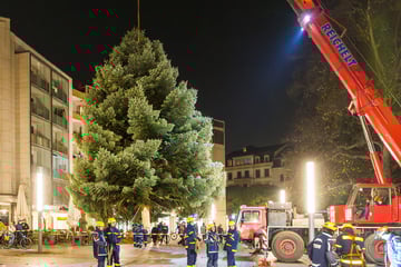 Stolze Tanne steht schon auf diesem Weihnachtsmarkt wie eine Eins